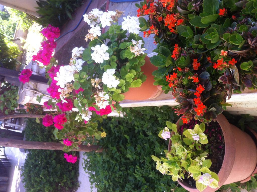 Besik Hotel Fethiye Exteriör bild
