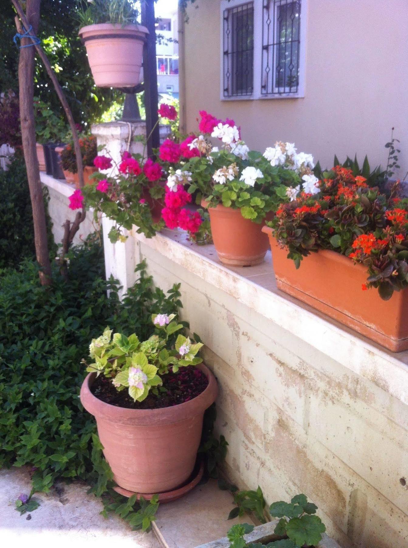 Besik Hotel Fethiye Exteriör bild